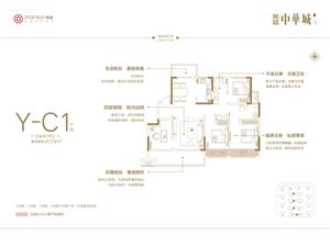 Y-C1 ���҃ɏd���l